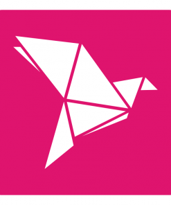 rapidnet-bkash-bill-pay